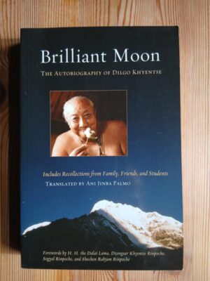 Brilliant Moon